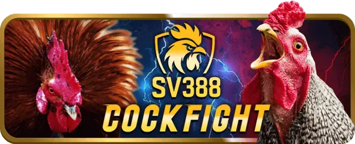 Cá cược thể thao đa dạng tại vf55 login